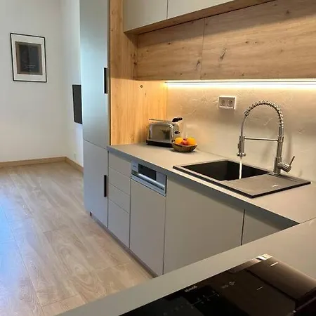 Apartment Apartman Blizko Centra, Parkovani A Wifi Zdarma Plzen