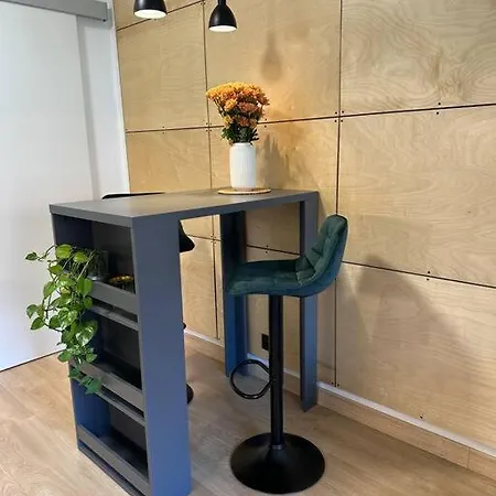 Apartman Blizko Centra, Parkovani A Wifi Zdarma * Plzen